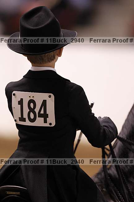 Proof 11buck_2940