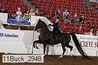11buck_2948 proof