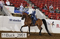 11buck_2951 proof