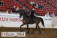 11buck_2954 proof