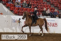 11buck_2959 proof