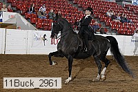11buck_2961 proof