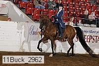 11buck_2962 proof