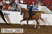 11buck_2963 proof