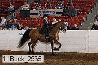 11buck_2965 proof