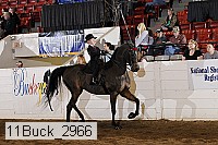 11buck_2966 proof