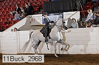 11buck_2968 proof
