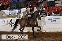 11buck_2969 proof