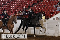 11buck_2971 proof