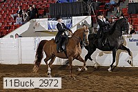 11buck_2972 proof