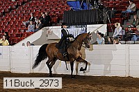 11buck_2973 proof