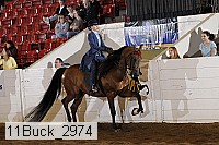 11buck_2974 proof