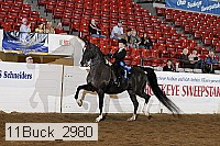 11buck_2980 proof