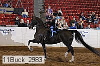 11buck_2983 proof