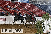 11buck_2988 proof