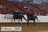 11buck_2989 proof