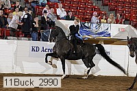11buck_2990 proof