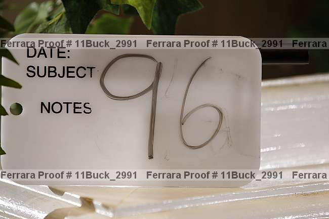 Proof 11buck_2991