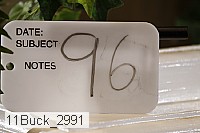 11buck_2991 proof