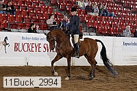 11buck_2994 proof