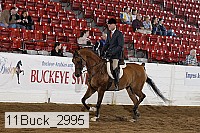 11buck_2995 proof