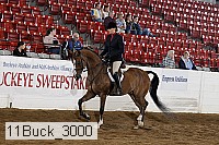 11buck_3000 proof