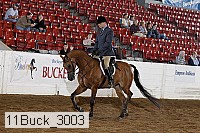 11buck_3003 proof