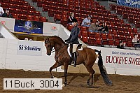 11buck_3004 proof