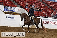 11buck_3010 proof