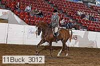 11buck_3012 proof