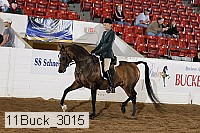 11buck_3015 proof