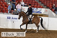 11buck_3018 proof