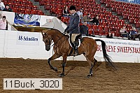 11buck_3020 proof