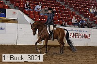 11buck_3021 proof