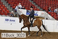 11buck_3023 proof