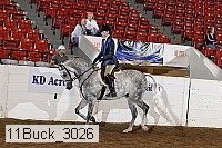 11buck_3026 proof