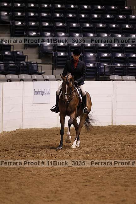 Proof 11buck_3035