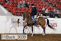 11buck_3039 proof