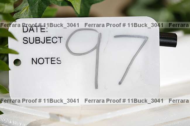 Proof 11buck_3041