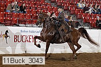 11buck_3043 proof