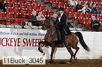 11buck_3045 proof