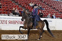 11buck_3047 proof