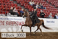 11buck_3050 proof