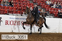 11buck_3051 proof