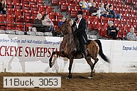 11buck_3053 proof