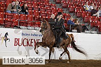 11buck_3056 proof