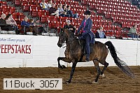 11buck_3057 proof