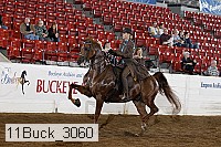 11buck_3060 proof