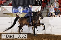 11buck_3062 proof