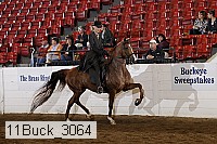 11buck_3064 proof